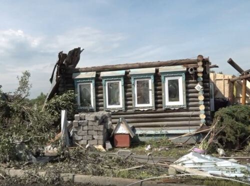 В Кушве унесенная смерчем собака вернулась к хозяину через 5 дней
